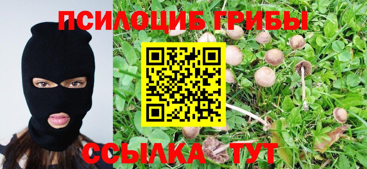 Галлюциногенные грибы Psilocybine cubensis Партизанск