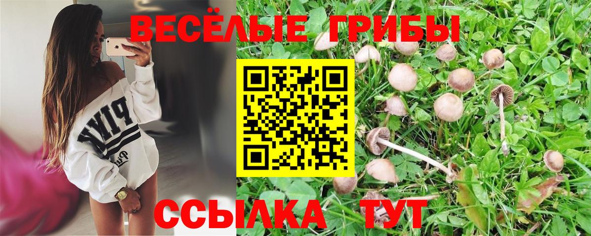 Псилоцибиновые грибы прущие грибы  Вход с VPN  Партизанск 